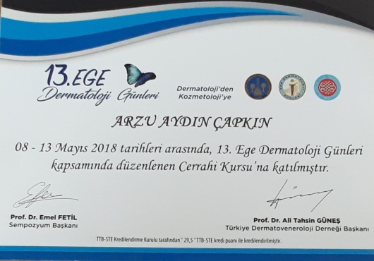 Arzu Aydın Çapkın-7