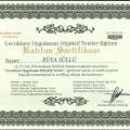 Resmi büyüt: certificate 15