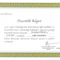 Resmi büyüt: certificate 7