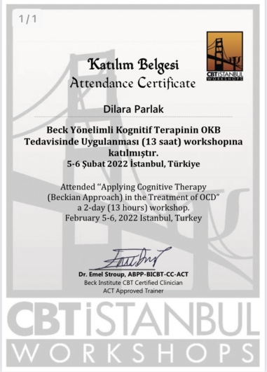 Dilara Parlak Tokat-5