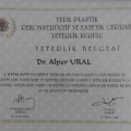 Resmi büyüt: certificate 9