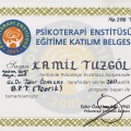 Resmi büyüt: certificate 4
