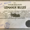 Resmi büyüt: certificate 7