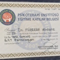 Resmi büyüt: certificate 13