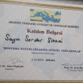 Resmi büyüt: certificate 9