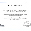 Resmi büyüt: certificate 4