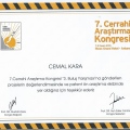 Resmi büyüt: certificate 36
