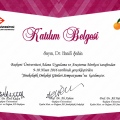 Resmi büyüt: certificate 5