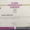Resmi büyüt: certificate 15