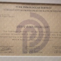 Resmi büyüt: certificate 2