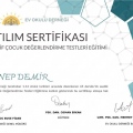 Resmi büyüt: certificate 6