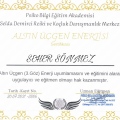 Resmi büyüt: certificate 22
