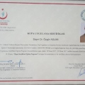 Resmi büyüt: certificate 5
