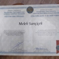 Resmi büyüt: certificate 29