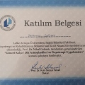 Resmi büyüt: certificate 14