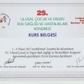 Resmi büyüt: certificate 13