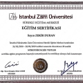 Resmi büyüt: certificate 1