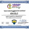 Resmi büyüt: certificate 22
