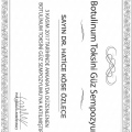 Resmi büyüt: certificate 3