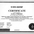 Resmi büyüt: certificate 12