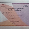 Resmi büyüt: certificate 2