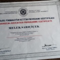 Resmi büyüt: certificate 4