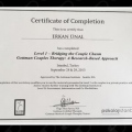 Resmi büyüt: certificate 10