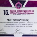 Resmi büyüt: certificate 50
