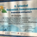 Resmi büyüt: certificate 8
