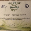 Resmi büyüt: certificate 11