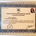Resmi büyüt: certificate 2