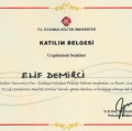 Resmi büyüt: certificate 26