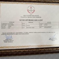 Resmi büyüt: certificate 1