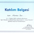 Resmi büyüt: certificate 15