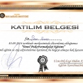 Resmi büyüt: certificate 15
