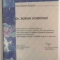 Resmi büyüt: certificate 1