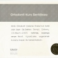 Resmi büyüt: certificate 8