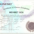 Resmi büyüt: certificate 3