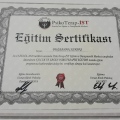 Resmi büyüt: certificate 7