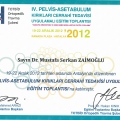 Resmi büyüt: certificate 47
