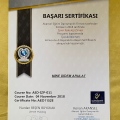 Resmi büyüt: certificate 8