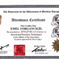 Resmi büyüt: certificate 6