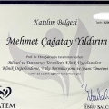 Resmi büyüt: certificate 12