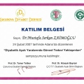 Resmi büyüt: certificate 55
