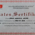 Resmi büyüt: certificate 25