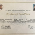 Resmi büyüt: certificate 2