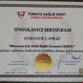 Resmi büyüt: certificate 2
