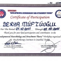 Resmi büyüt: certificate 15