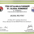 Resmi büyüt: certificate 13