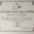 Resmi büyüt: certificate 3